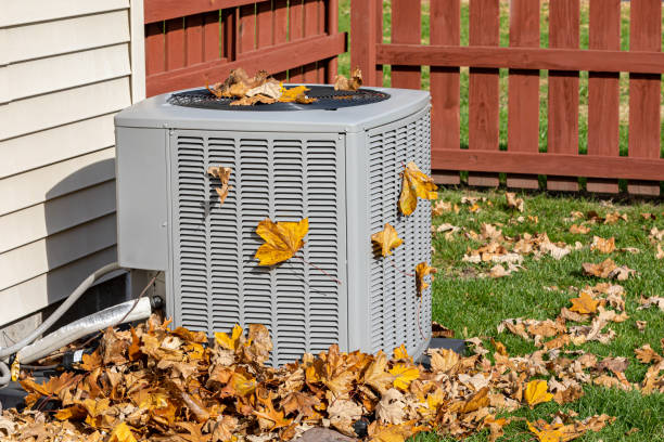 Best HVAC Tune-Up Services  in Isanti, MN