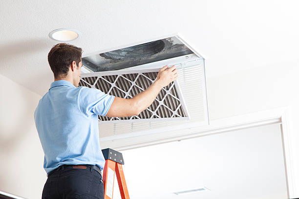 Best Local HVAC Companies  in Isanti, MN
